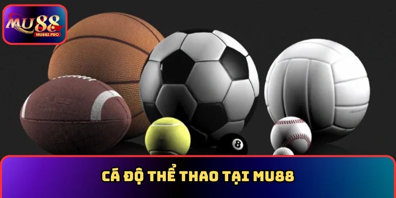 Cá độ Thể thao tại MU88